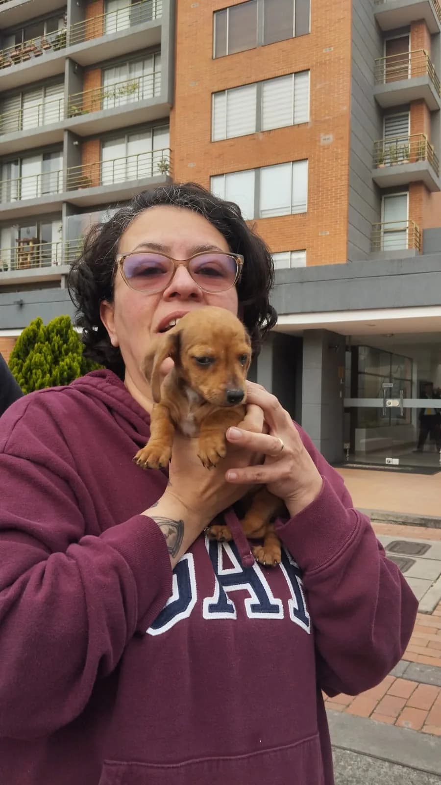 Caso de éxito: Entrega en Bogotá